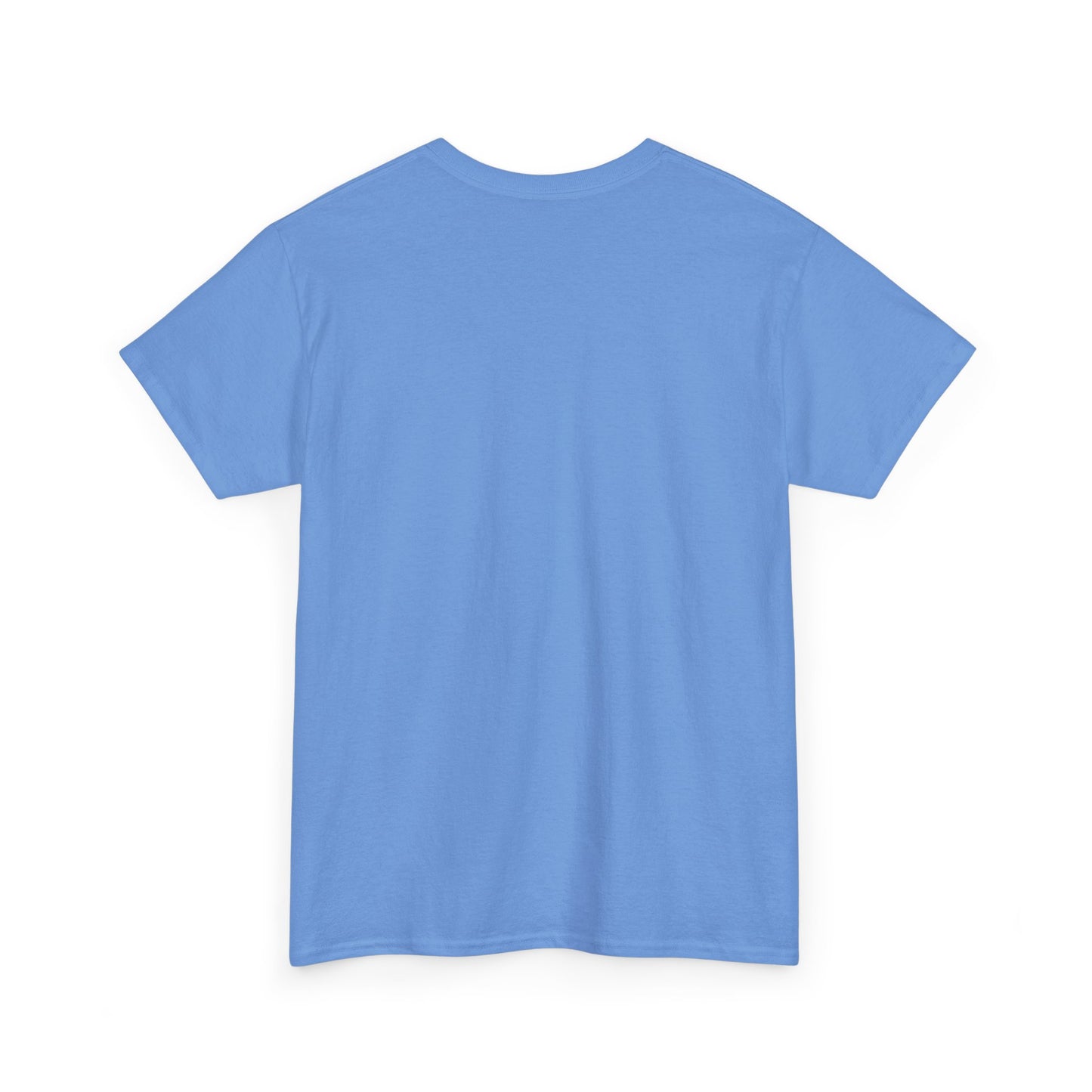 Stylish Unisex Heavy Cotton Tee - The 904, Casual Graphic Tee, Perfect for Everyday Wear, Gift for Friends, Summer Essential